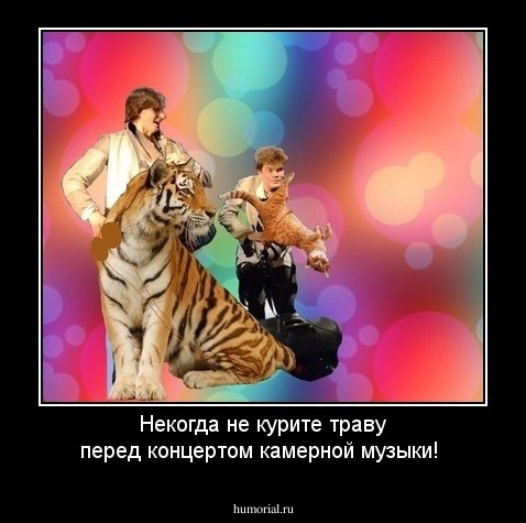 Некогда не курите траву перед концертом камерной музыки! 