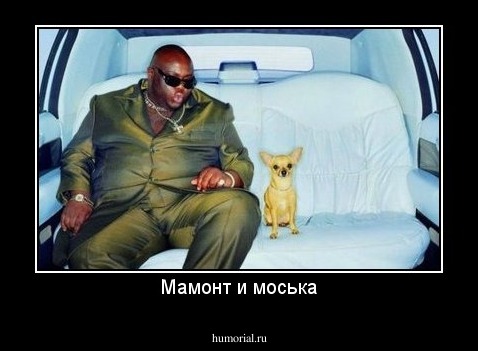 Мамонт и моська