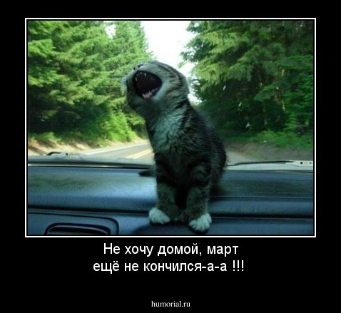 Не хочу домой, март ещё не кончился-а-а !!!