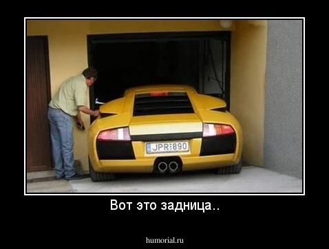 Вот это задница..