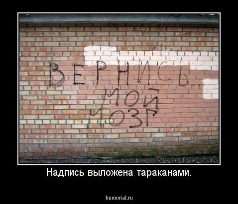 Надпись выложена тараканами.