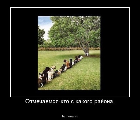 Отмечаемся-кто с какого района.