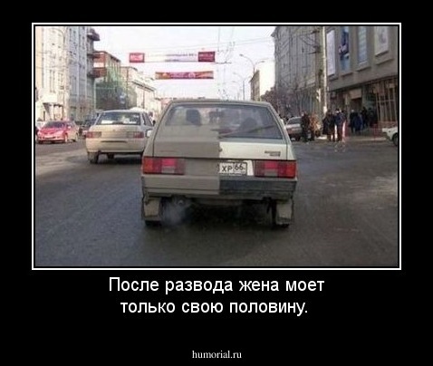 После развода жена моет только свою половину.