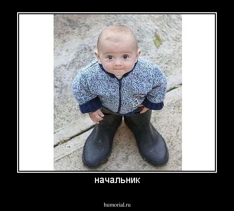 начальник