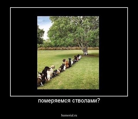 померяемся стволами?