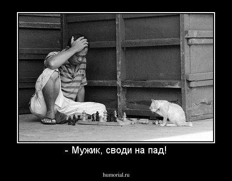 - Мужик, своди на пад!