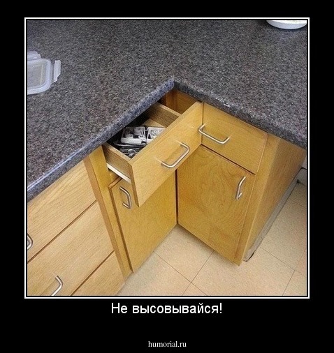 Не высовывайся!