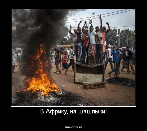 В Африку, на шашлыки!