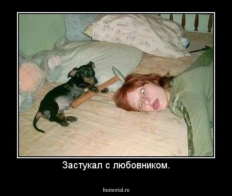 Застукал с любовником.