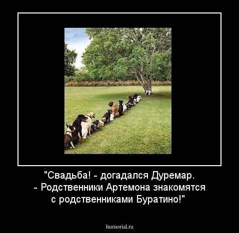 "Свадьба! - догадался Дуремар. - Родственники Артемона знакомятся с родственниками Буратино!"