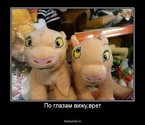 По глазам вижу,врет