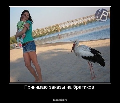 Принимаю заказы на братиков.