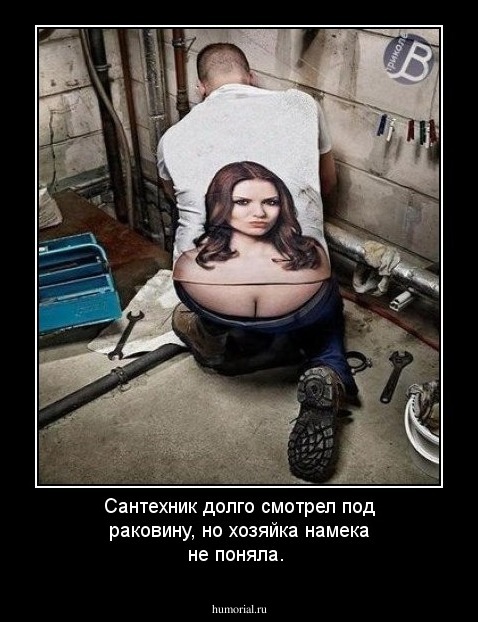 Сантехник долго смотрел под раковину, но хозяйка намека не поняла.