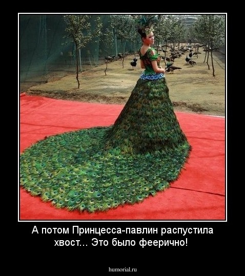 А потом Принцесса-павлин распустила хвост... Это было феерично! 