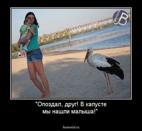 "Опоздал, друг! В капусте мы нашли малыша!"