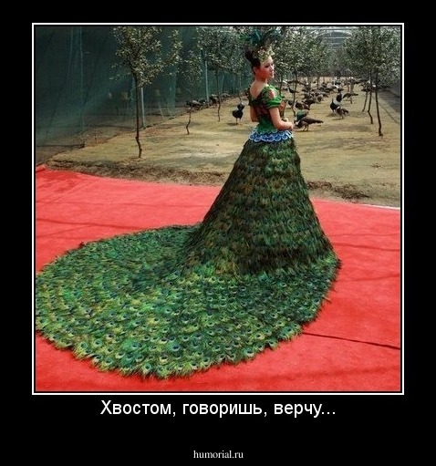 Хвостом, говоришь, верчу...