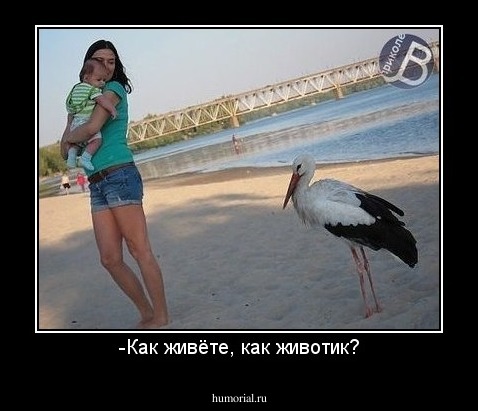 -Как живёте, как животик?