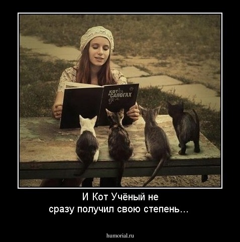И Кот Учёный не сразу получил свою степень...
