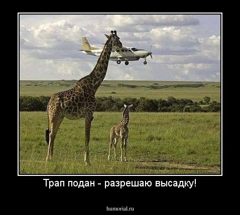 Трап подан - разрешаю высадку!