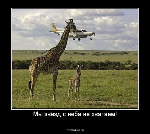 Мы звёзд с неба не хватаем!