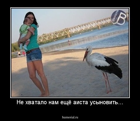Не хватало нам ещё аиста усыновить...