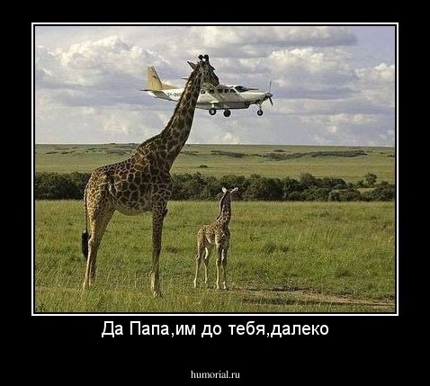 Да Папа,им до тебя,далеко