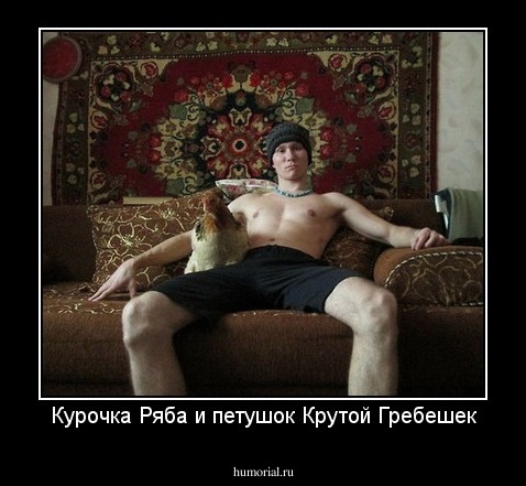 Курочка Ряба и петушок Крутой Гребешек