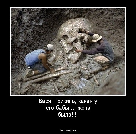 Вася, прикинь, какая у его бабы ... жопа была!!!