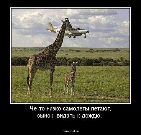 Че-то низко самолеты летают, сынок, видать к дождю.