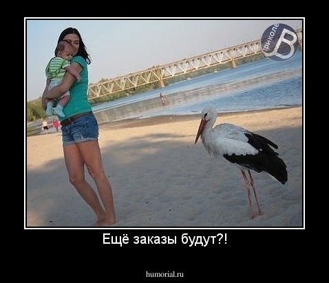 Ещё заказы будут?!