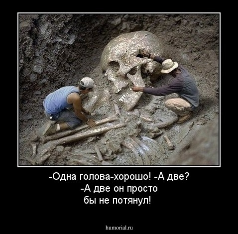 -Одна голова-хорошо!
-А две?
-А две он просто бы не потянул!