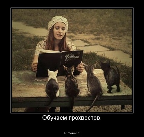 Обучаем прохвостов.