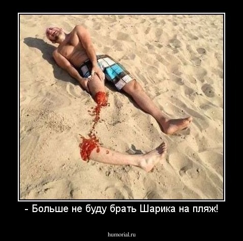 - Больше не буду брать Шарика на пляж!