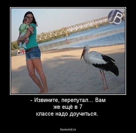 - Извините, перепутал... Вам же ещё в 7 классе надо доучиться.