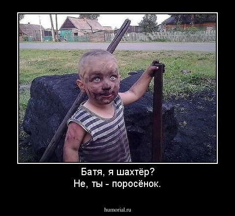 Батя, я шахтёр?
Не, ты - поросёнок.