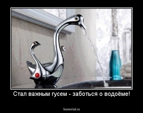 Стал важным гусем - заботься о водоёме!