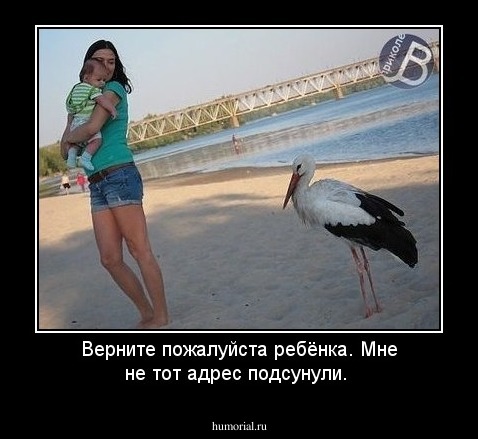 Верните пожалуйста ребёнка. Мне не тот адрес подсунули.