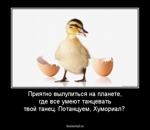 Приятно вылупиться на планете, где все умеют танцевать твой танец. Потанцуем,  Хумориал?