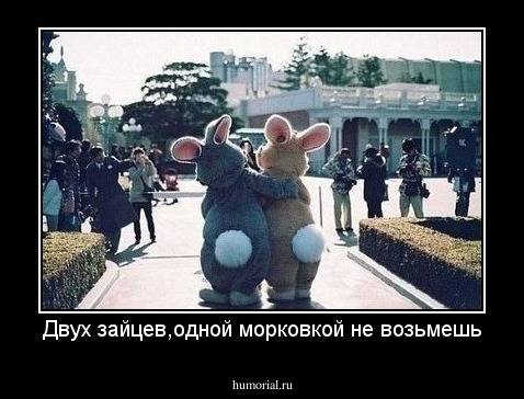 Двух зайцев,одной морковкой не возьмешь