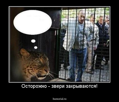 Осторожно - звери закрываются!