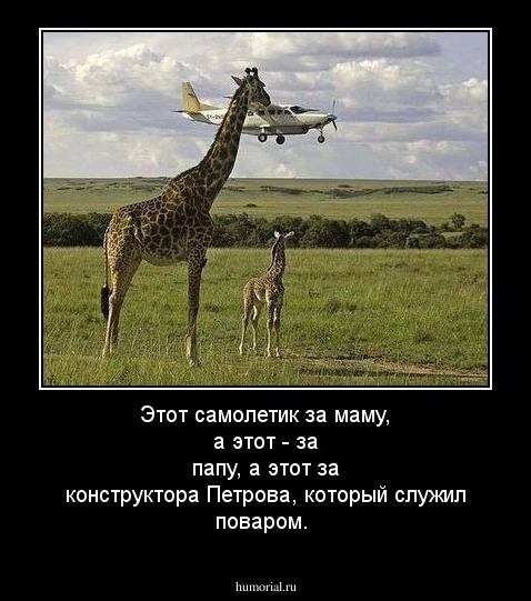Этот самолетик за маму, а этот - за папу,  а этот за конструктора Петрова, который служил поваром.