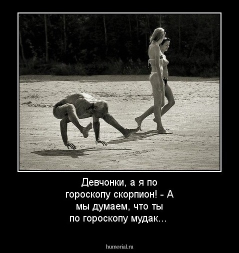 Девчонки, а я по гороскопу скорпион! - А мы думаем, что ты по гороскопу мудак...