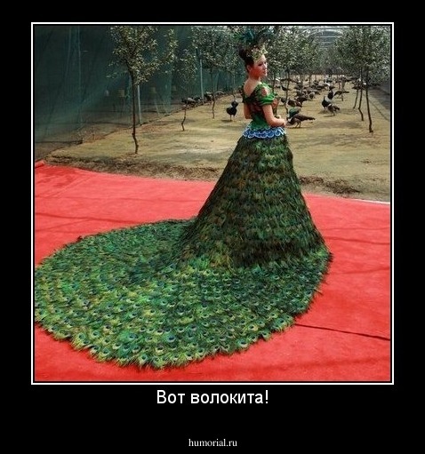 Вот волокита!