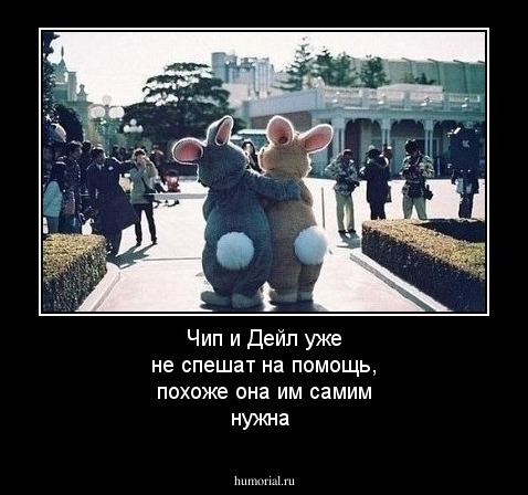 Чип и Дейл уже не спешат на помощь, похоже она им самим нужна