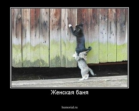 Женская баня