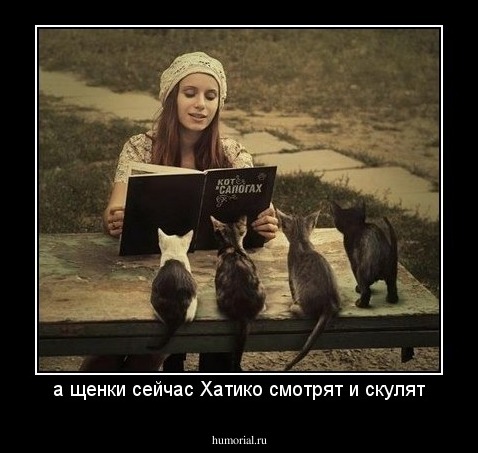 а щенки сейчас Хатико смотрят и скулят