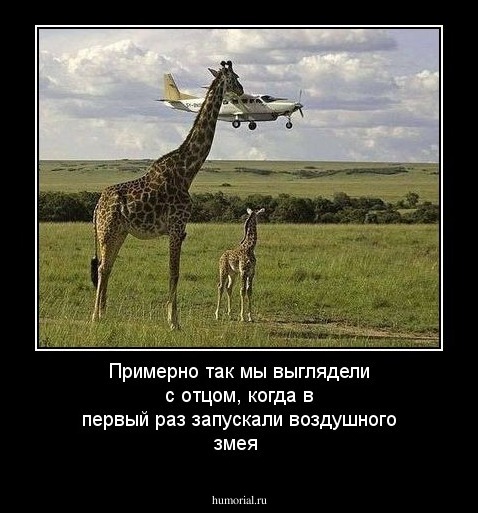 Примерно так мы выглядели с отцом, когда в первый раз  запускали воздушного змея