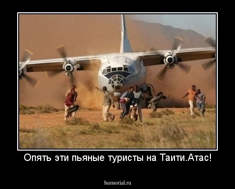 Опять эти пьяные туристы на Таити.Атас!