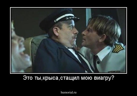 Это ты,крыса,стащил мою виагру?