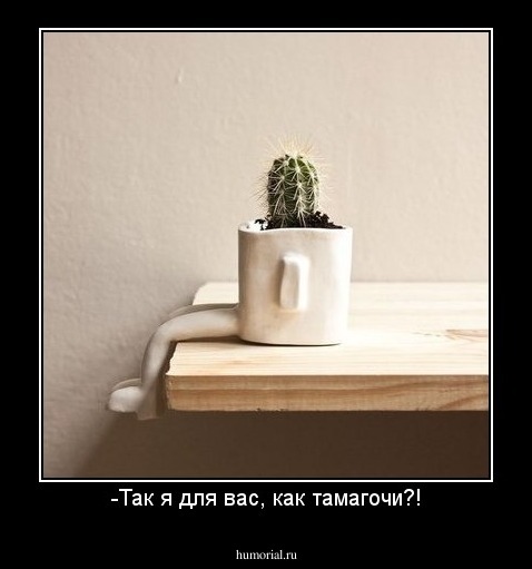 -Так я для вас, как тамагочи?!
